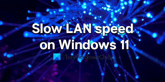 Windows 11/10 컴퓨터에서 느린 LAN 속도 수정 
