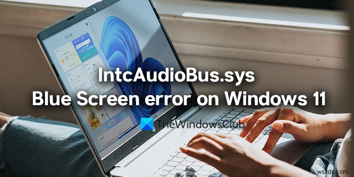 Windows 11에서 IntcAudioBus.sys 블루 스크린 오류 수정 