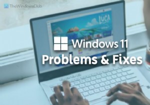 Windows 11 문제, 솔루션 문제 및 수정 사항 