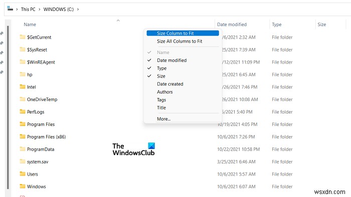 Windows 11/10에서 파일 탐색기의 열 너비 크기를 변경하는 방법 