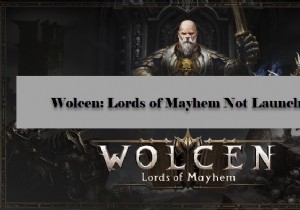 Wolcen: Lords of Mayhem 실행 안 됨·크래시 오류 해결 방법 (Windows 11/10)