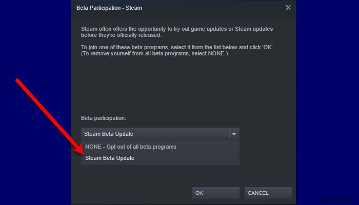 Windows 11/10에서 Steam Remote Play가 작동하지 않음 