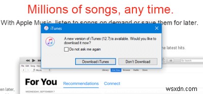 Windows 11/10용 iTunes에 iOS 장비가 표시되지 않음 