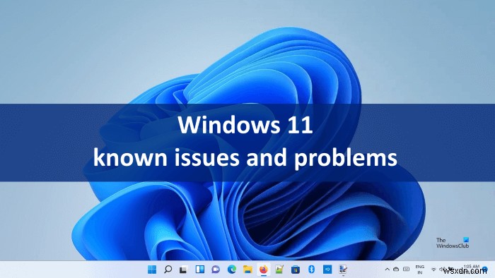 Windows 11 알려진 문제 및 문제