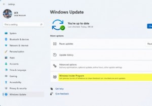 Insider Preview에서 Windows 11의 안정적인 빌드로 전환하는 방법 