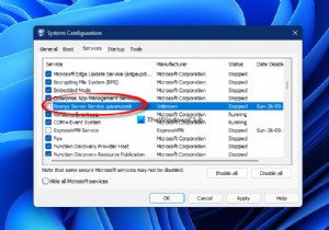 Energy Server Service 퀸크릭 프로세스란 무엇입니까? 제거할 수 있습니까? 