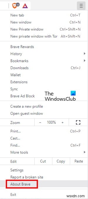 Windows 11/10에서 열리지 않거나 작동하지 않는 Brave 브라우저 