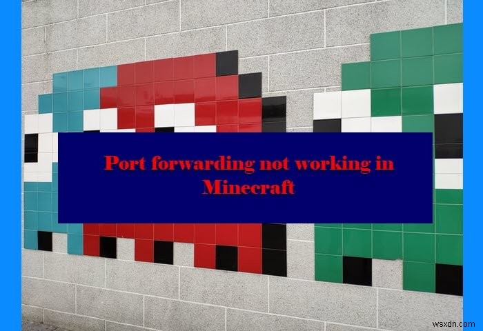 Windows 11/10의 Minecraft에서 포트 포워딩이 작동하지 않음 