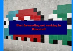 Windows 11/10의 Minecraft에서 포트 포워딩이 작동하지 않음 