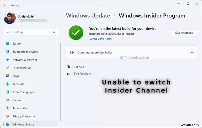 Windows 11 – 개발자 또는 베타 채널에서 Windows 참가자 채널을 전환할 수 없음 