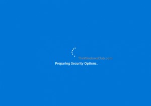 보안 옵션 준비에서 멈춘 Windows 11/10 수정 