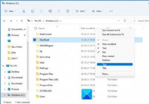 Windows 11/10에서 탐색기의 모든 폴더에 열을 영구적으로 추가하는 방법 