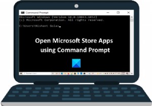 명령 프롬프트에서 Microsoft Store 앱을 여는 방법 
