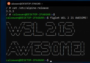 Windows 11/10에서 WSL 2(Linux용 Windows 하위 시스템 2) 설치하는 방법