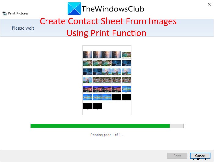 Windows 11/10에서 사진 밀착 인화를 만들고 인쇄하는 방법 