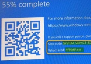 Windows 11/10에서 rtf64x64.sys 블루 스크린 오류 수정 