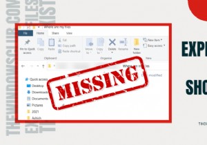 Windows 11/10에서 파일이 존재하는데도 파일 탐색기에 표시되지 않을 때 해결 방법
