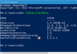 Windows 11/10에서 PowerShell 버전을 확인하는 방법 
