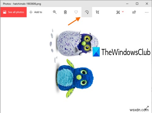 Windows 10 컴퓨터에서 이미지를 회전하는 방법 