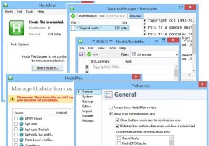 Windows 11/10에서 호스트 파일을 잠그고, 관리하고, 편집하는 방법 