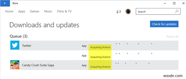 Windows 11/10에서 Microsoft Store Acquiring License 오류 수정 