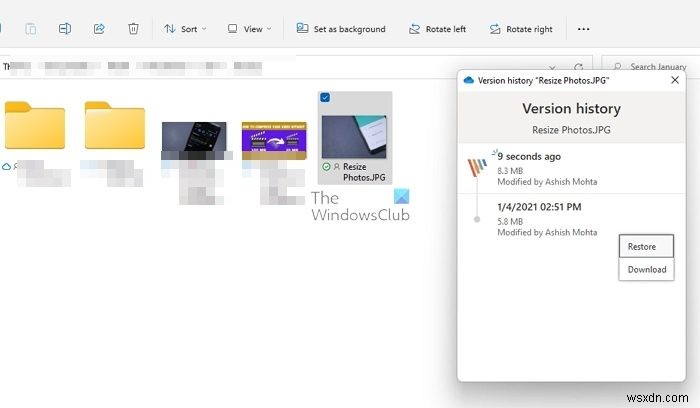 Windows 11/10에서 삭제된 OneDrive 파일을 복구하는 방법 