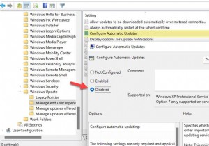 컴퓨터에 Windows 11/10 자동 다운로드 중지 