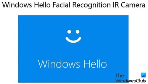 Windows 11/10에서 Windows Hello 얼굴 인식 설정이 작동하지 않음 