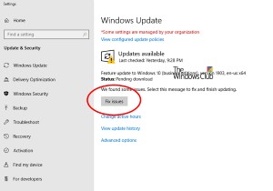 Windows 업데이트 페이지의  문제 수정  버튼, 원인과 해결 방법