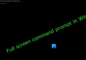 Windows 11/10 운영 체제의 전체 화면 명령 프롬프트 
