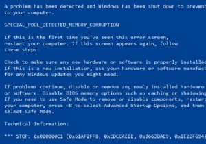 Windows 10에서 특수 풀이 메모리 손상을 감지함 중지 코드 