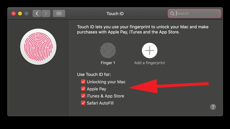 Mac에서 Touch ID를 사용하는 방법 