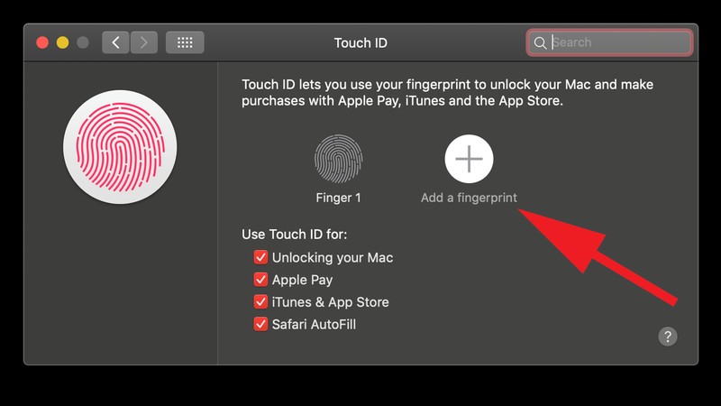 Mac에서 Touch ID를 사용하는 방법 