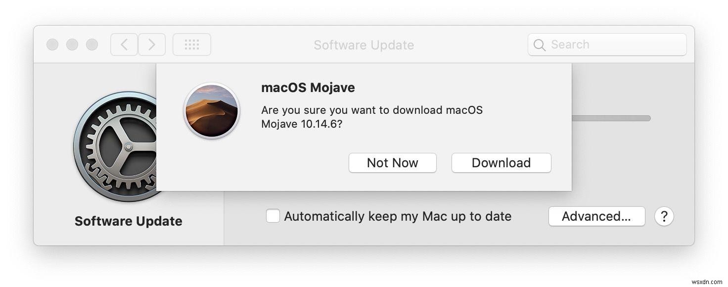 macOS Monterey를 Big Sur 또는 이전 버전으로 다운그레이드하는 방법 