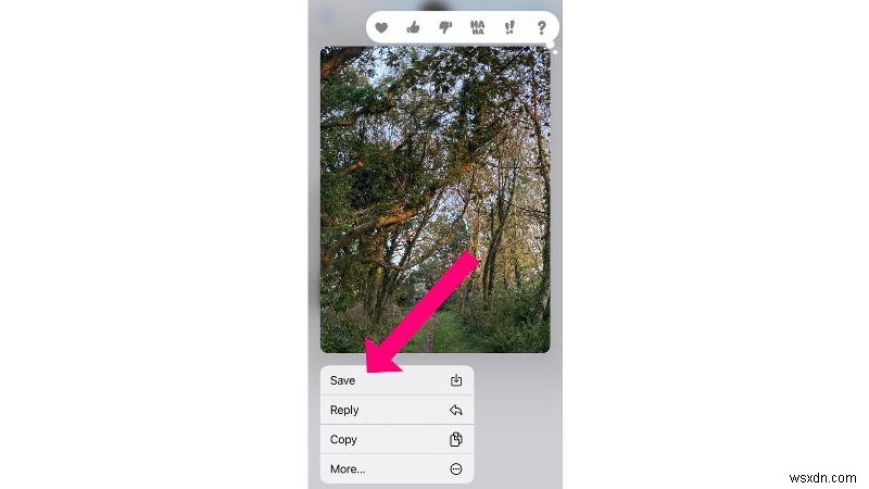 iPhone의 메시지에서 사진을 저장하는 방법 