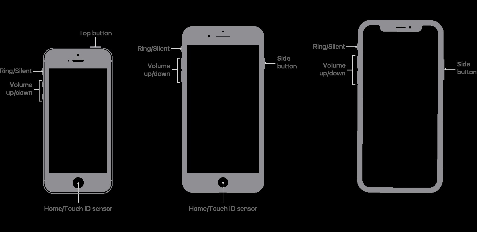 iPhone 및 iPad에서 스크린샷을 찍기 위한 초보자 가이드 