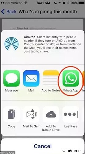 WhatsApp에서 이메일로 사진을 보내는 방법:Ultimate Guide 