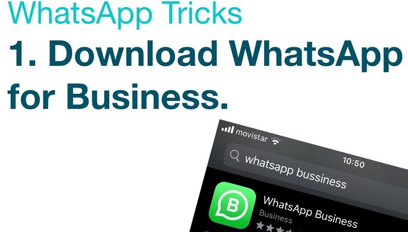 WhatsApp 비즈니스 카탈로그 101:얼티밋 가이드 