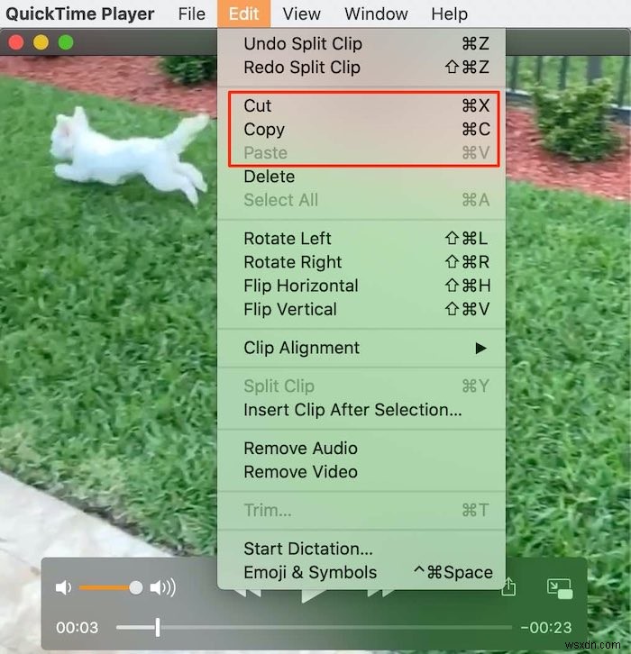 Mac에서 QuickTime으로 동영상을 편집하는 방법 