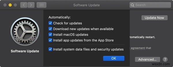 macOS용 소프트웨어 자동 업데이트를 활성화하는 방법 