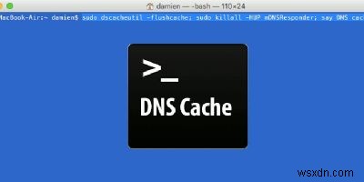 Mac에서 DNS 캐시를 플러시하는 방법 