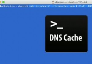 Mac에서 DNS 캐시를 플러시하는 방법 