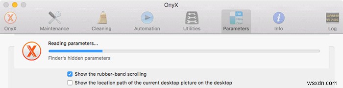Onyx로 숨겨진 Mac 환경 설정 조정 