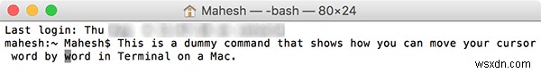 Mac의 터미널에서 커서 단어를 Word로 이동하는 방법 