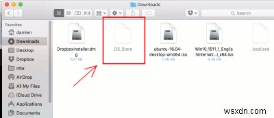 하나의 간단한 명령으로 모든 .DS_Store 파일 찾기 및 삭제 