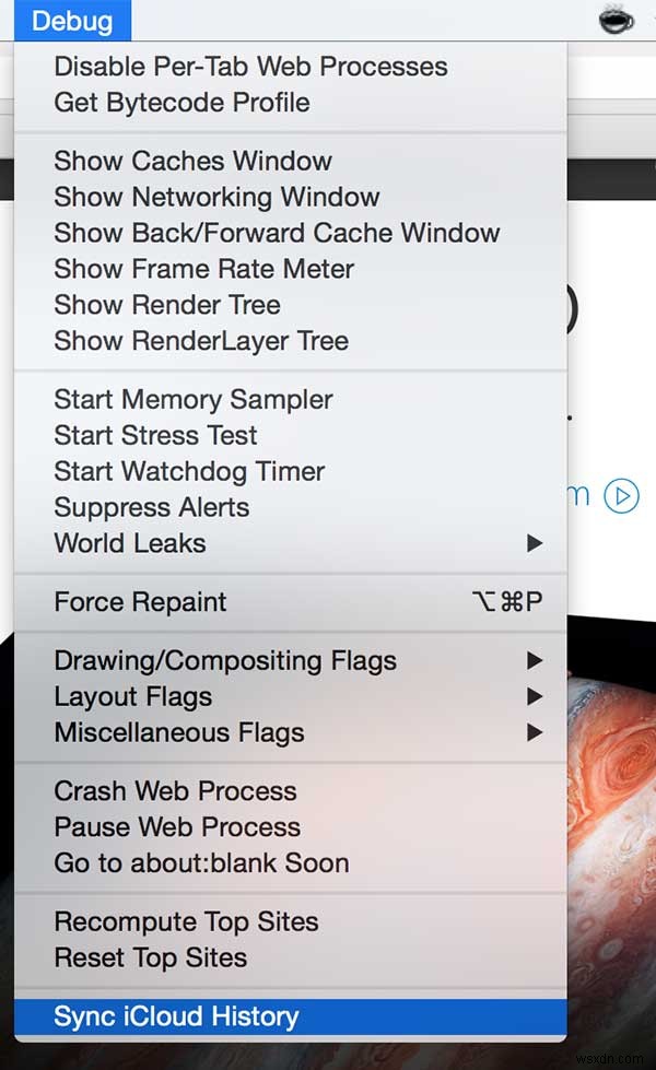 Apple 기기에서 Safari 기록을 강제로 동기화하는 방법 