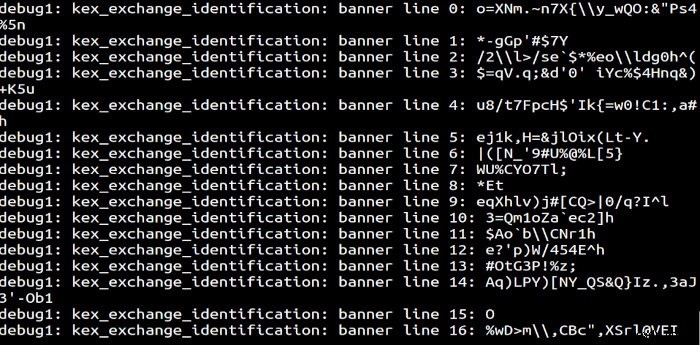 Linux 서버에서 해커를 잡기 위해 SSH 허니팟을 만드는 방법 