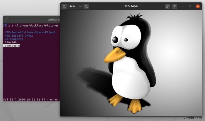 Linux 터미널용 파일 관리자로 nnn 사용 