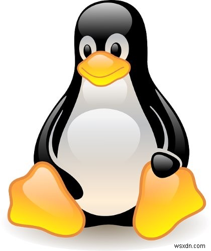 새로운 Linux Cryptojacker는 CPU 사용량과 가짜 네트워크 활동을 마스킹할 수 있습니다. 
