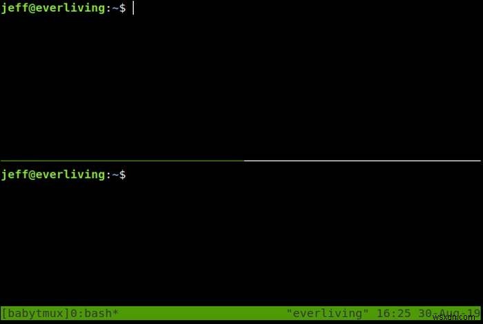 Linux에서 Tmux 세션을 관리하고 복원하는 방법 